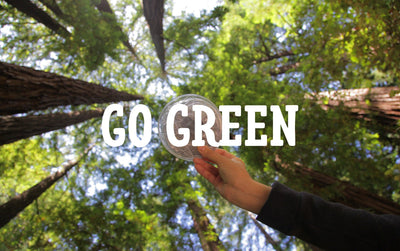 5 Eco Friendly Products To Reduce Your Environmental Impact (& Save $$$)