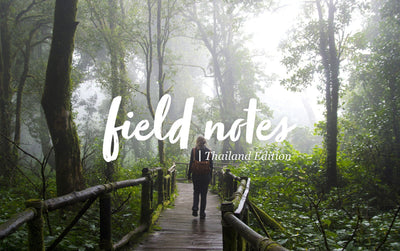Field Notes: Finding Purpose in the Journey